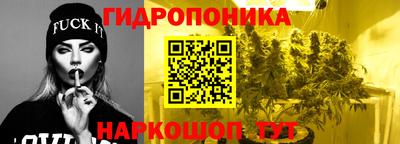 spice Краснознаменск
