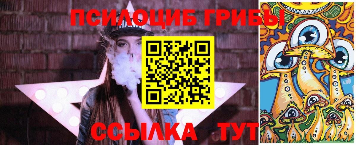 Галлюциногенные грибы MAGIC MUSHROOMS Елец