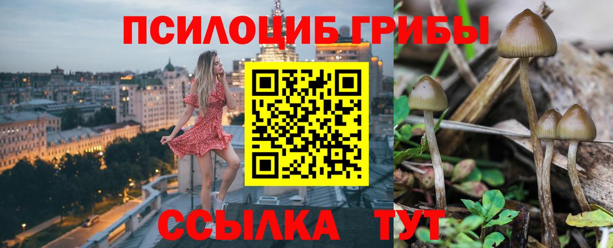 Галлюциногенные грибы мицелий  Вход с VPN  Галлюциногенные грибы мицелий  Елец 